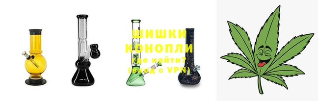 мдпв Лихославль