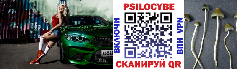 Галлюциногенные грибы мухоморы  ссылка на мегу маркетплейс  Нижний Тагил  как найти наркотики 