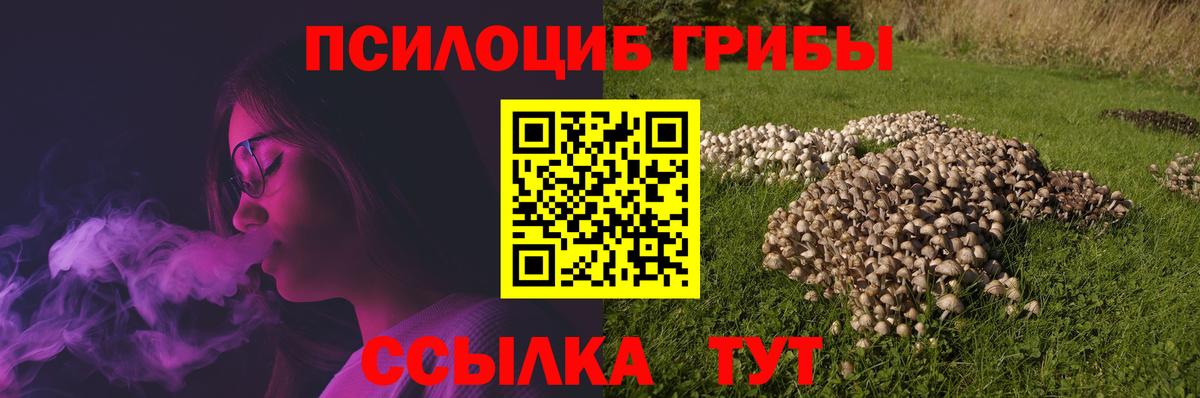 Псилоцибиновые грибы Psilocybine cubensis Нижний Тагил